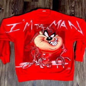 Looney Tunes Taz sweater VTG